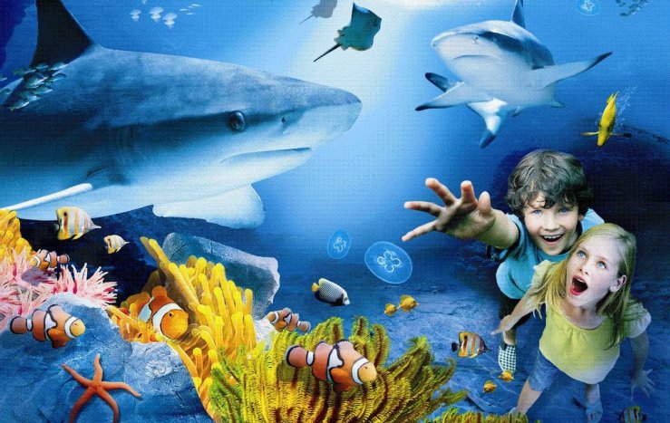 Semana de la ciencia divertida: Talleres infantiles en Benalmádena
