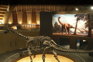 “Meteoritos, la extinción de los dinosaurios”: Exposición para niños en Asturias