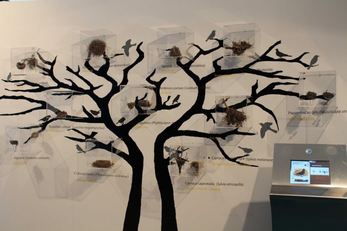 Museo de Ciencias Naturales de Valencia: Aprender de forma divertida