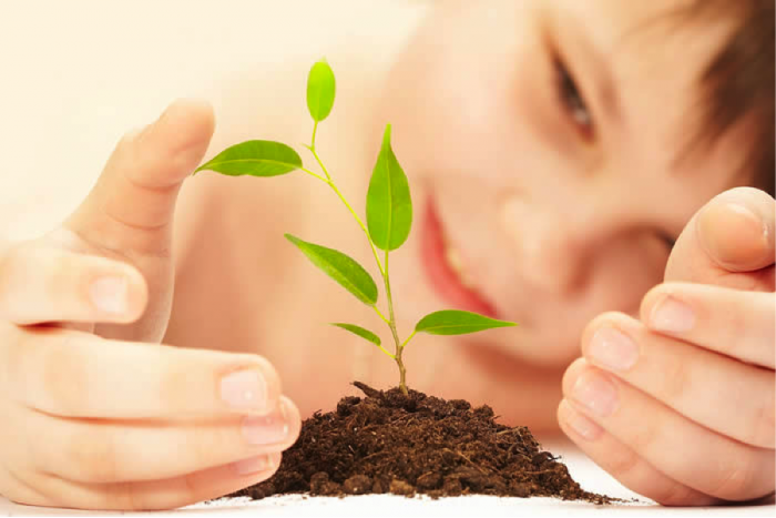 Crear un huerto: Taller para las familias en Málaga