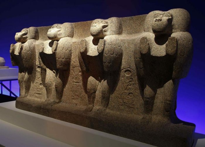 Animales y faraones: Exposición de historia para niños en Madrid
