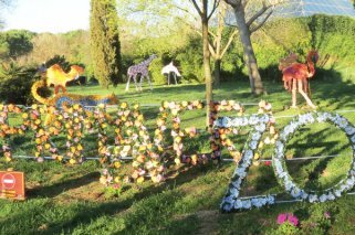 Exposición floral en el Zoo Aquarium de Madrid