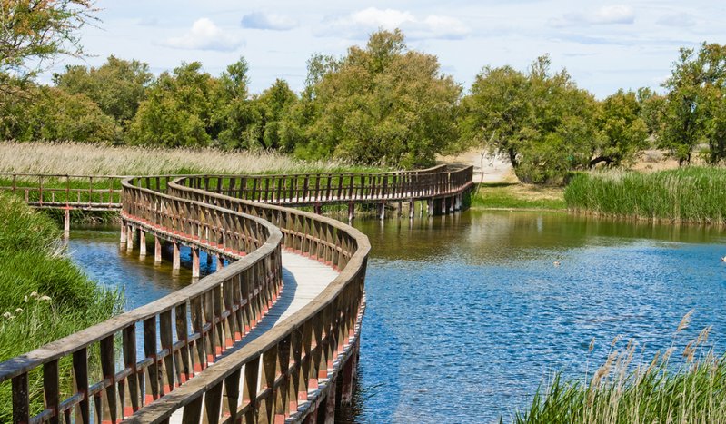 Ruta con niños por Las Tablas de Daimiel, en Ciudad Real