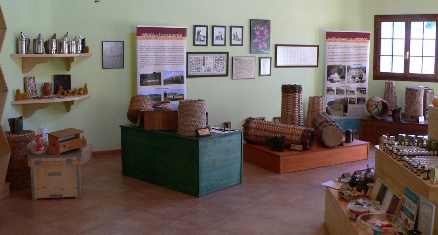 Abejas del Prepirineo: Museo para niños en Zaragoza